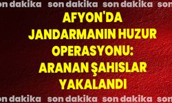 Afyonkarahisar'da Jandarmanın Huzur Operasyonu: Aranan Şahıslar Yakalandı