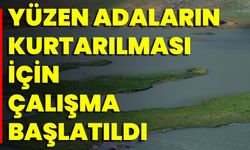 Yüzen Adaların Kurtarılması İçin Çalışma Başlatıldı