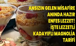 Ansızın gelen misafire anında hazır enfes lezzet! İşte lezzetli kadayıflı magnolia tarifi