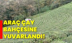 Araç çay bahçesine yuvarlandı!