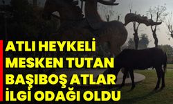 Atlı Heykeli Mesken Tutan Başıboş Atlar İlgi Odağı Oldu