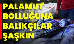 Palamut Bolluğuna Balıkçılar Şaşkın!