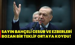 Sayın Bahçeli cesur ve ezberleri bozan bir teklif ortaya koydu!