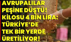 Avrupalılar Peşine Düştü! Kilosu 4 Bin Lira: Türkiye’de Tek Bir Yerde Üretiliyor!