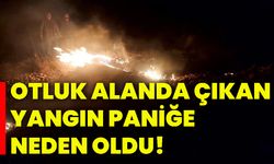 Otluk alanda çıkan yangın paniğe neden oldu!