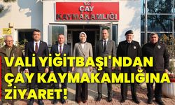 Vali Yiğitbaşı'ndan Çay Kaymakamlığına Ziyaret!