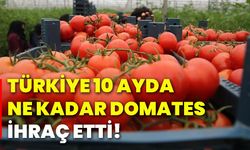 Türkiye 10 ayda ne kadar domates ihraç etti!