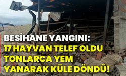 Besihane yangını: 17 hayvan telef oldu, tonlarca yem yanarak küle döndü!