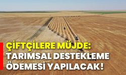 Çiftçilere müjde: Tarımsal destekleme ödemesi yapılacak!