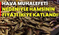 Hava muhalefeti nedeniyle hamsinin fiyatı ikiye katlandı!