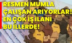 Resmen mumla çalışan arıyorlar! En çok iş ilanı bu illerde!