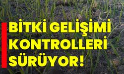 Bitki gelişimi kontrolleri sürüyor!