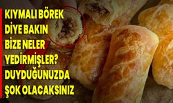 Kıymalı Börek Diye Bakın Bize Neler Yedirmişler? Duyduğunuzda Şok Olacaksınız