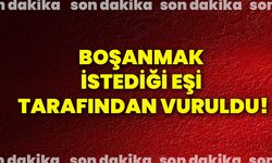 Boşanmak istediği eşi tarafından vuruldu!