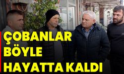 Çobanlar Böyle Hayatta Kaldı