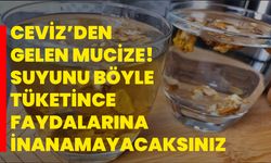 Ceviz’den gelen mucize! Suyunu böyle tüketince faydalarına inanamayacaksınız