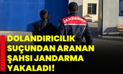 Dolandırıcılık suçundan aranan şahsı jandarma yakaladı!