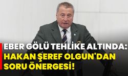 Eber Gölü Tehlike Altında: Hakan Şeref Olgun'dan Soru Önergesi!