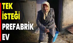 Tek İsteği Prefabrik Ev