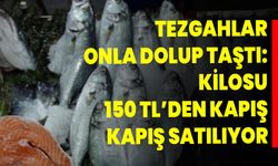 Tezgahlar onla dolup taştı: Kilosu 150 TL’den kapış kapış satılıyor