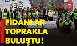 Fidanlar toprakla buluştu!