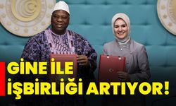 Gine ile işbirliği artıyor!