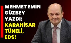 Mehmet Emin Güzbey yazdı: Karahisar Tüneli, EDS!