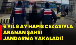 6 yıl 8 ay hapis cezasıyla aranan şahsı jandarma yakaladı!