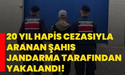 20 yıl hapis cezasıyla aranan şahıs jandarma tarafından yakalandı!