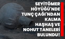 Seyitömer Höyüğü'nde Tunç Çağı'ndan kalma haşhaş ve nohut taneleri bulundu!