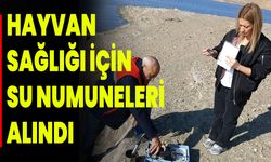 Hayvan Sağlığı İçin Su Numuneleri Alındı