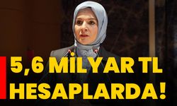 5,6 milyar TL hesaplarda!