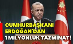 Cumhurbaşkanı Erdoğan'dan 1 milyonluk tazminat!