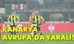 Kanarya Avrupa’da yaralı!