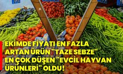 Ekimde fiyatı en fazla artan ürün "Taze sebze", en çok düşen "evcil hayvan ürünleri" oldu!