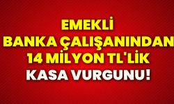 Emekli banka çalışanından 14 milyon tl'lik kasa vurgunu!