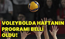 Voleybolda haftanın programı belli oldu!