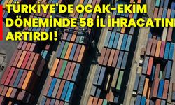 Türkiye'de ocak-ekim döneminde 58 il ihracatını artırdı!