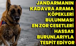 Jandarmanın Kadavra Arama Köpekleri, Bulunması En Zor Cesetleri Hassas Burunlarıyla Tespit Ediyor