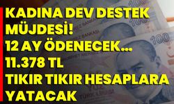 Kadına Dev Destek Müjdesi! 12 Ay Ödenecek… 11.378 TL Tıkır Tıkır Hesaplara Yatacak