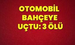 Otomobil bahçeye uçtu: 3 ölü