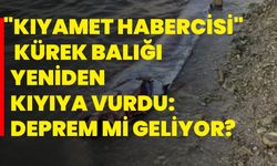 "Kıyamet Habercisi" Kürek Balığı Yeniden Kıyıya Vurdu: Deprem Mi Geliyor?