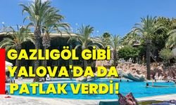 Gazlıgöl gibi Yalova'da da patlak verdi!