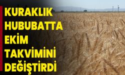 Kuraklık hububatta ekim takvimini değiştirdi