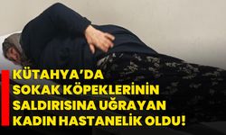 Kütahya’da sokak köpeklerinin saldırısına uğrayan kadın hastanelik oldu!