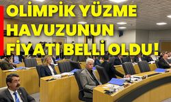 Olimpik yüzme havuzunun fiyatı belli oldu!