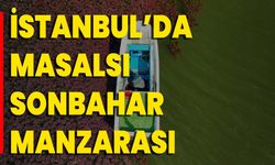 İstanbul’da Masalsı Sonbahar Manzarası