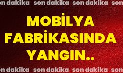 MOBİLYA FABRİKASINDA YANGIN..