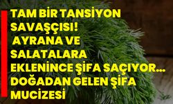 Tam bir tansiyon savaşçısı! Ayrana ve salatalara eklenince şifa saçıyor… Doğadan gelen şifa mucizesi