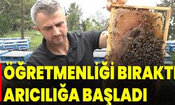 Öğretmenliği Bıraktı Arıcılığa Başladı